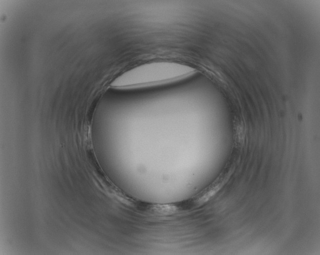 X0000076420429200610061023