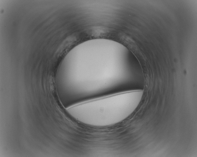 X0000076420470200610061023