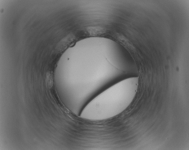 X0000076420471200610061023