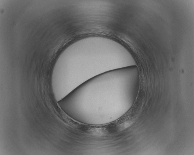 X0000076420499200610061022