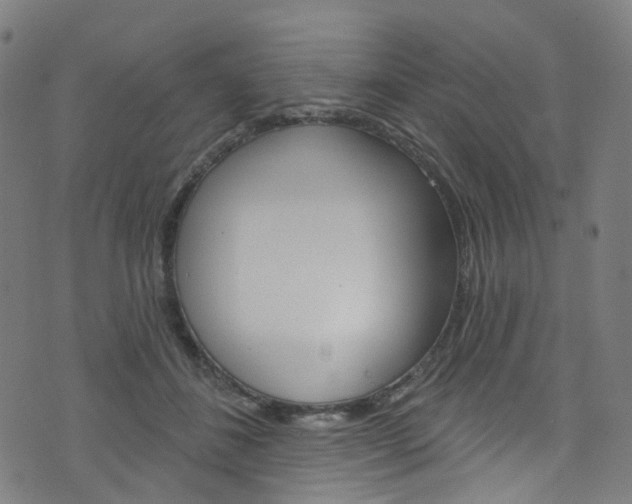 X0000076420508200610061022