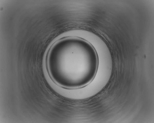 X0000076420513200610061022