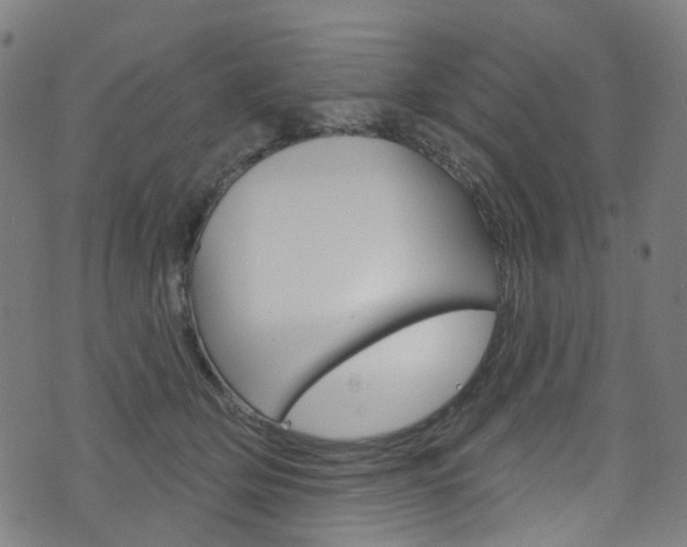 X0000076420514200610061022