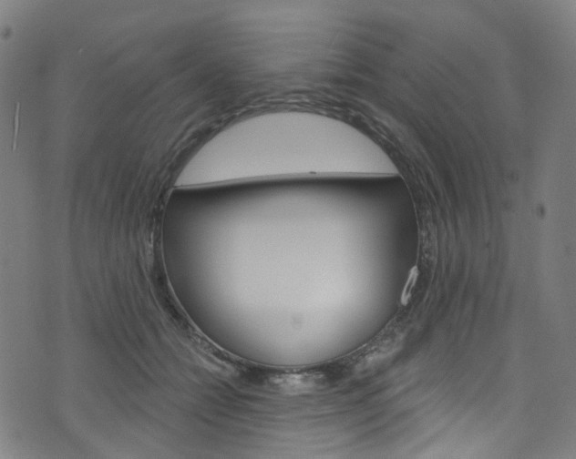 X0000076420558200610061021