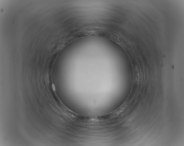 X0000076420562200610061021