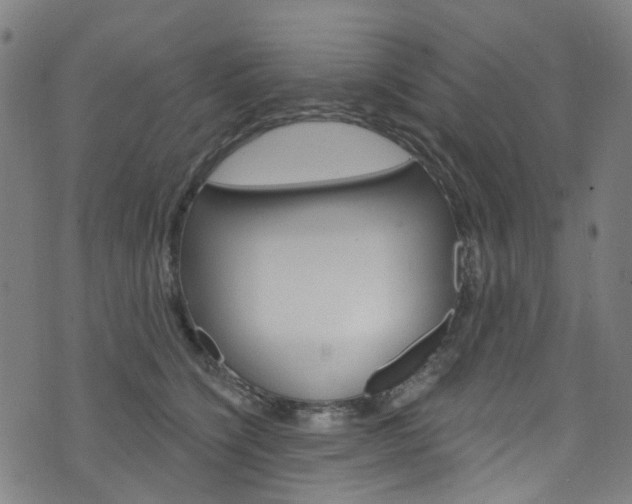 X0000076420564200610061021