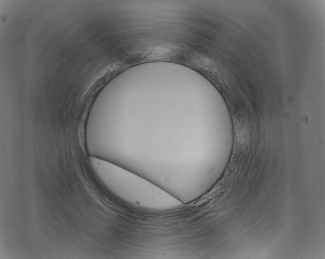 X0000076420591200610061021