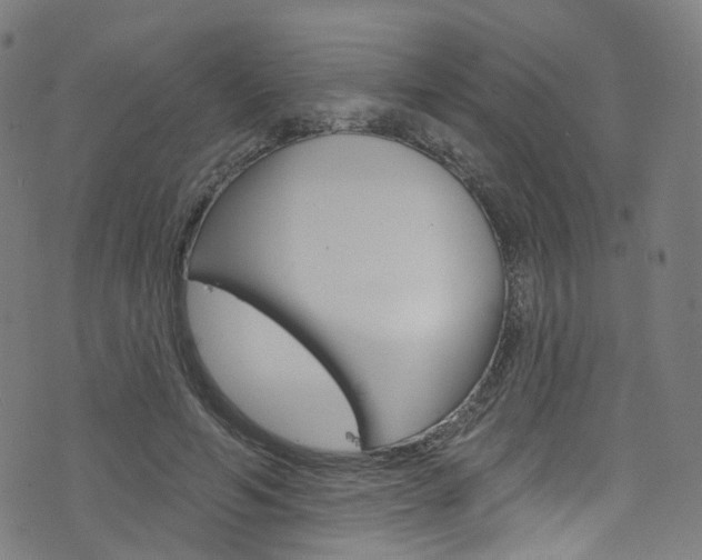 X0000076420594200610061021