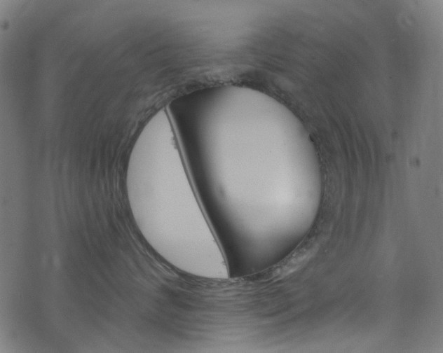 X0000076420624200610061020