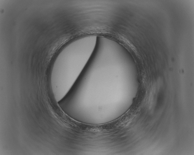 X0000076420635200610061019