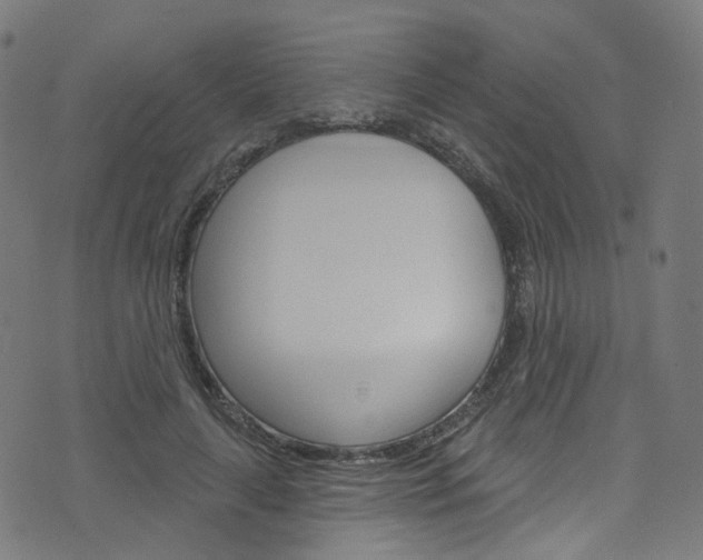 X0000076420643200610061020