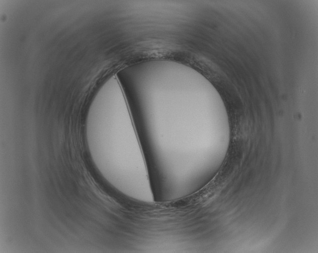 X0000076420646200610061020