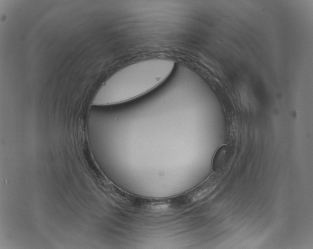 X0000076420651200610061020