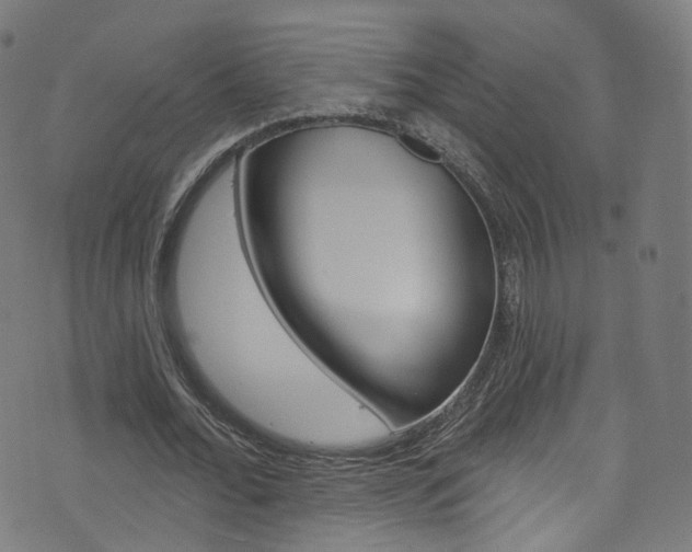 X0000076420676200610061019