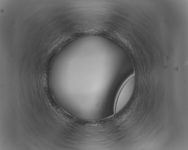 X0000076420689200610061019