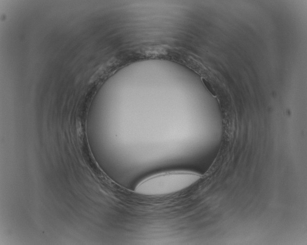 X0000076420704200610061019