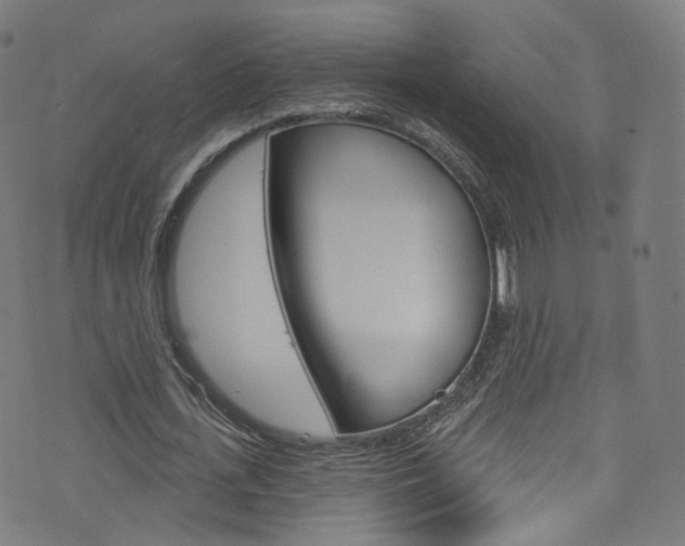 X0000076420723200610061018