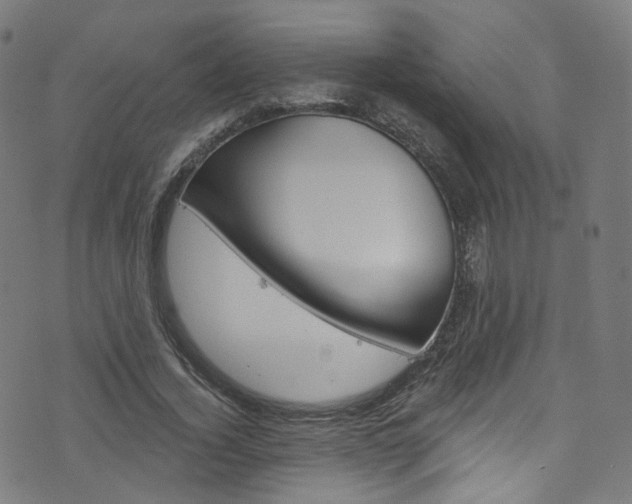 X0000076420732200610061018