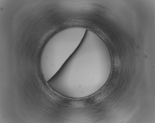 X0000076420733200610061018