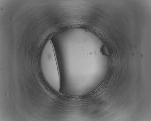 X0000076420742200610061018
