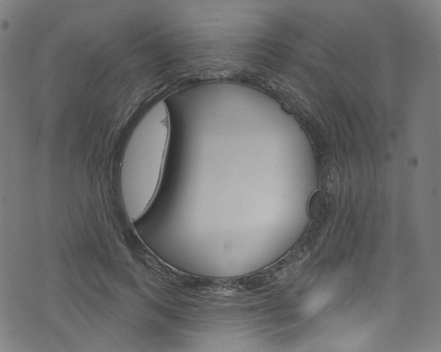 X0000076420743200610061018
