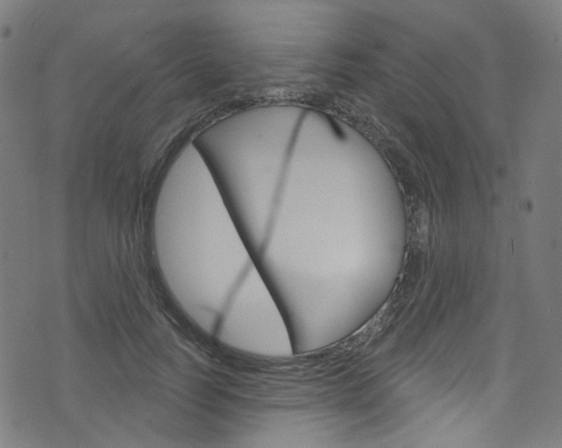 X0000076420746200610061018
