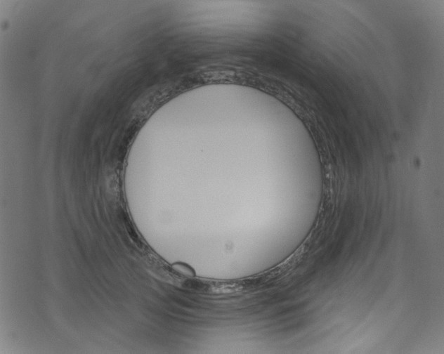 X0000076420753200610061018