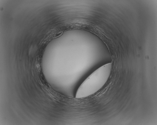 X0000076420771200610061018