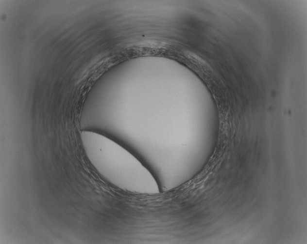 X0000076420774200610061018