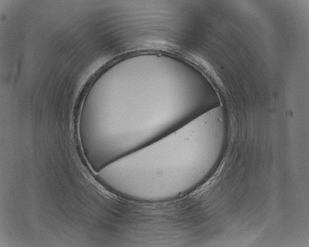 X0000076420780200610061018
