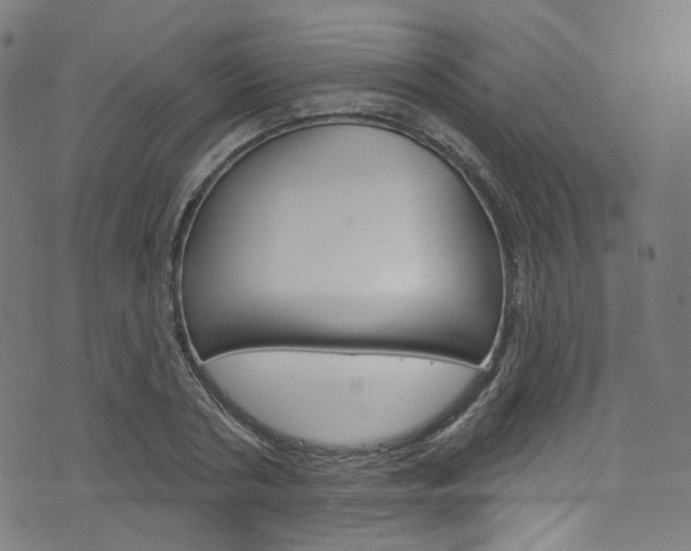 X0000076420786200610061017