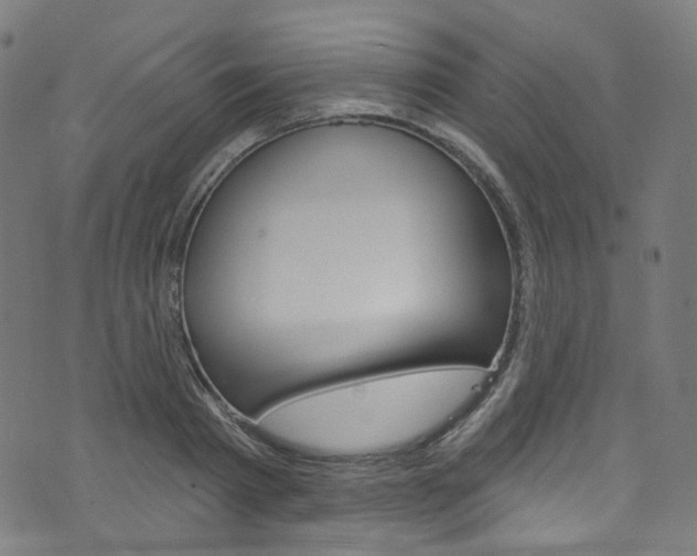 X0000076420793200610061017