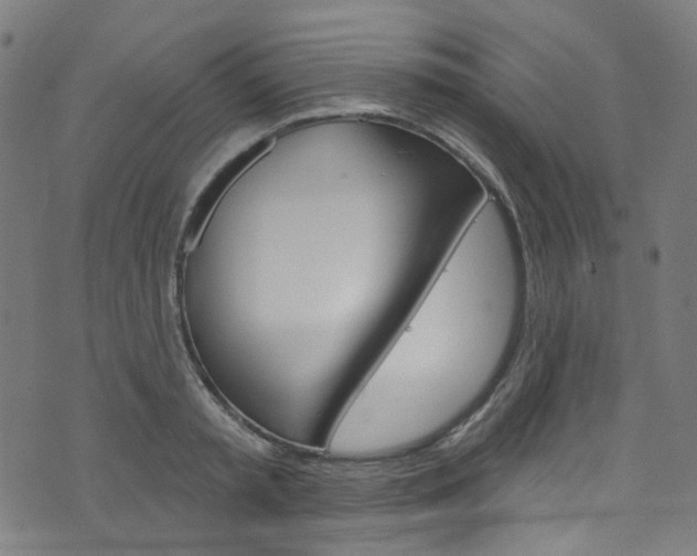 X0000076420797200610061017