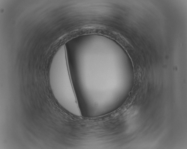 X0000076420821200610061016