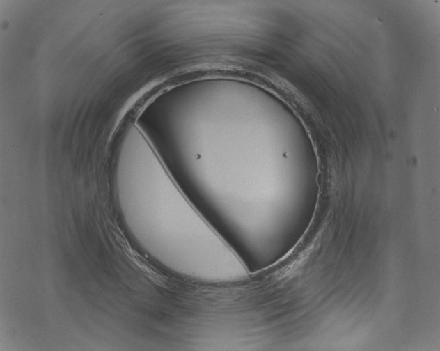X0000076420830200610061016