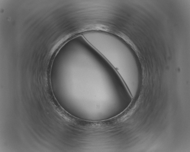 X0000076420834200610061016