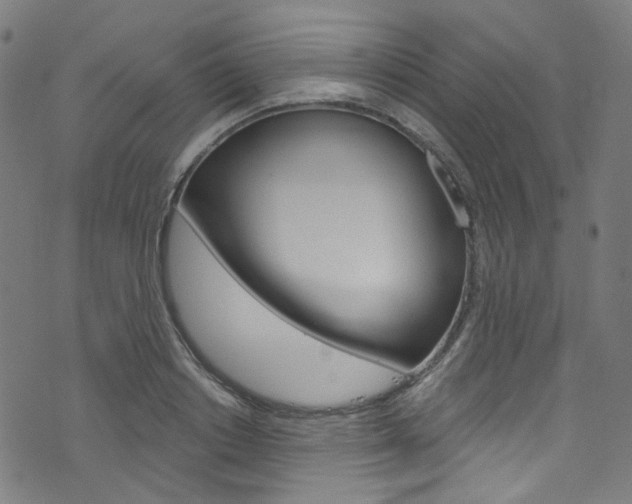 X0000076420842200610061017