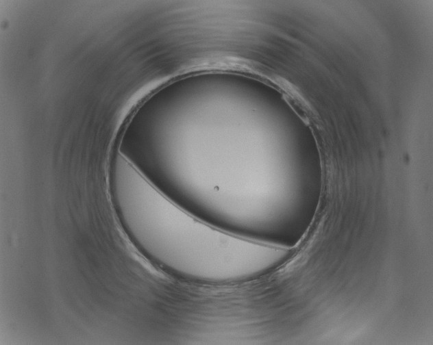 X0000076420846200610061017