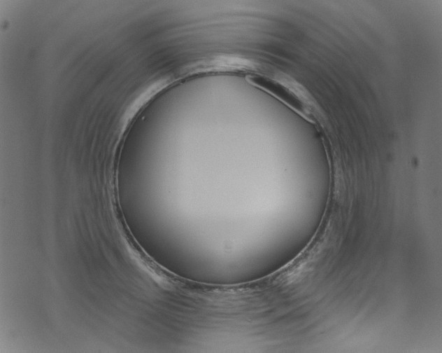 X0000076420850200610061017