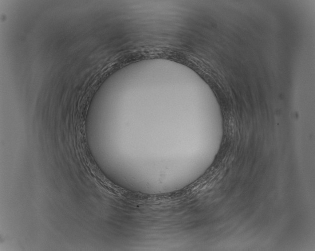 X0000076420865200610061016