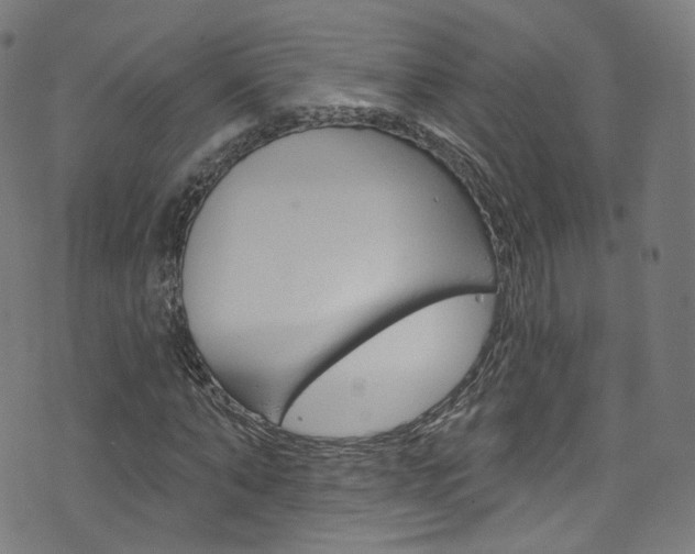 X0000076420870200610061016