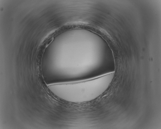 X0000076420872200610061016
