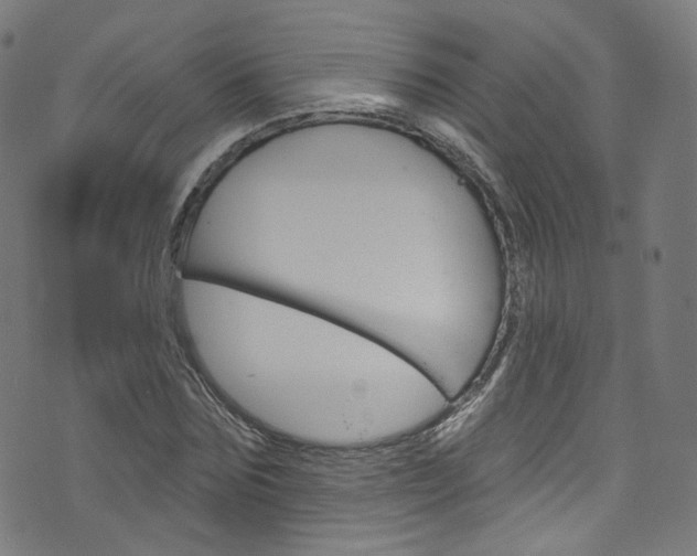 X0000076420875200610061016