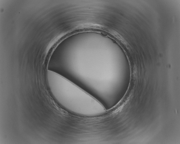 X0000076420877200610061016