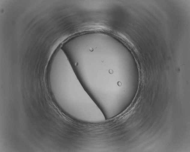 X0000076420883200610061016