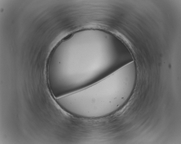 X0000076420902200610061016