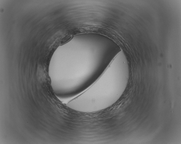 X0000076420915200610061015