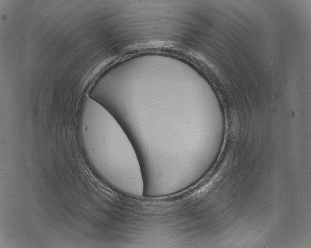 X0000076420921200610061015
