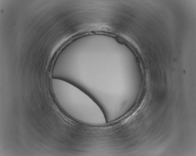 X0000076420925200610061015