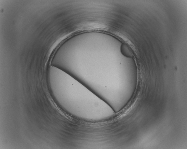 X0000076420933200610061015